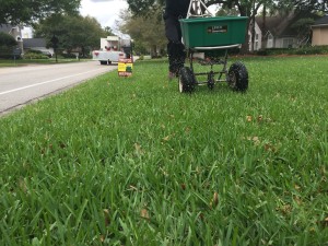 Jacksonville Lawn Service & Fertilization