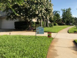 Jacksonville lawn care and fertilization services